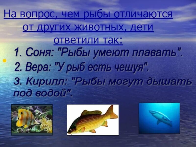 Рыбы отличаются от других животных. Чем отличаются рыбы от других. Что отличает рыб от других животных. Чем рыбы похожи на других животных.
