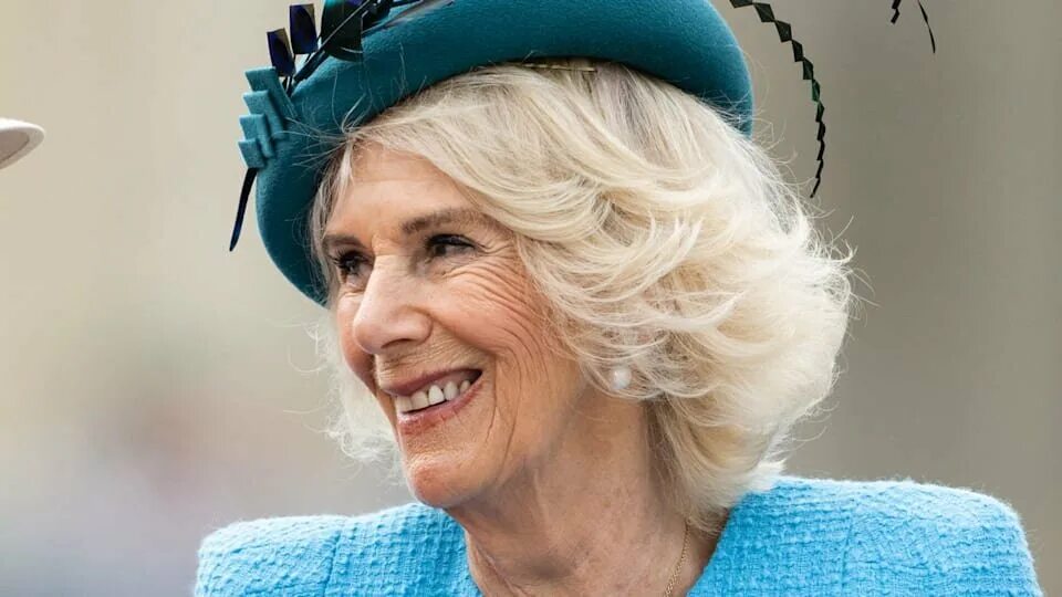 Camilla queen consort. Camilla new аскона. Camilla new. Camilla new. Camilla new.
