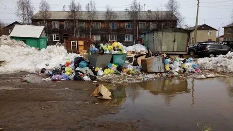 Помойка фото