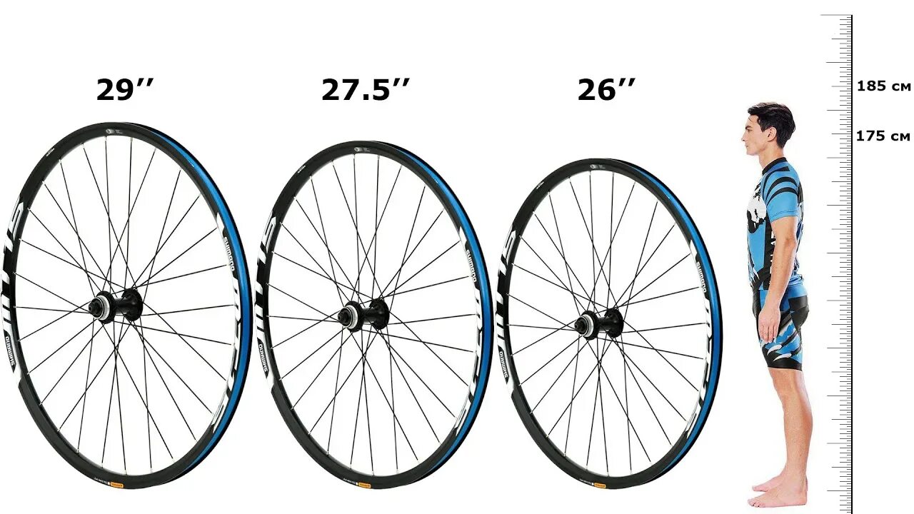 26 дюймов колеса велосипеда на какой рост. Велосипед колеса 26 27.5 29. Радиус колеса 27.5 дюймов. Размеры велосипеда с 26 колесами. Велосипед 29 или 27.5 дюймов размер.