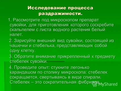 Понятие критерий жизни