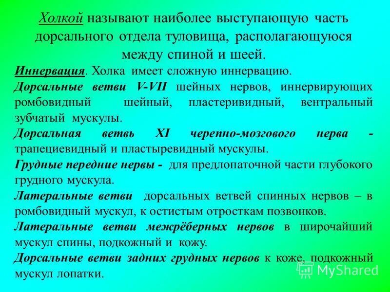 план хирургия 5 класс литература