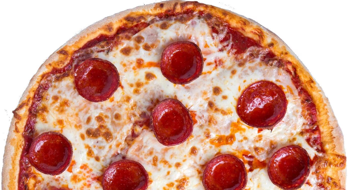 Monkey pizza. Пицца с орегано вектор. pizza monkey friends.