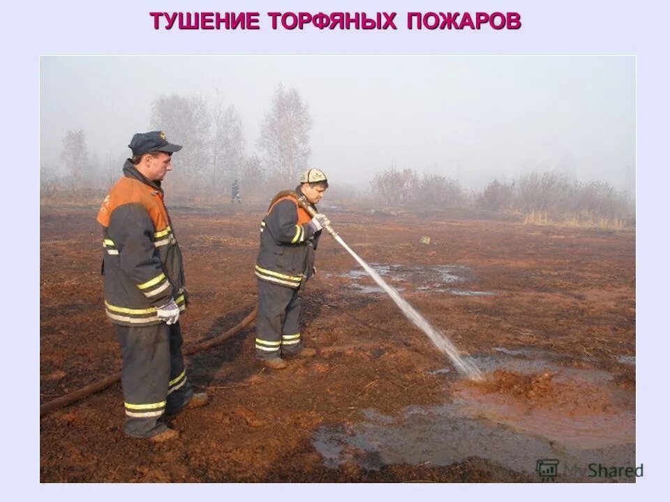 тушение пожара на торфянике. тушение лесных и торфяных пожаров. тушенипо подземных пожаров. тушение торфяных пожаров. тушение торфяных пожаров.