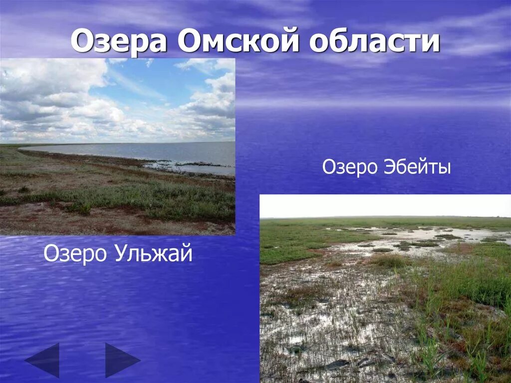 Водоемы Омской области. Озера Омской области. Крупные озера Омской области. Самые большие озера Омской области.
