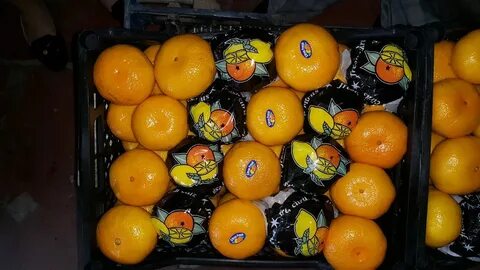 Откуда мандарины