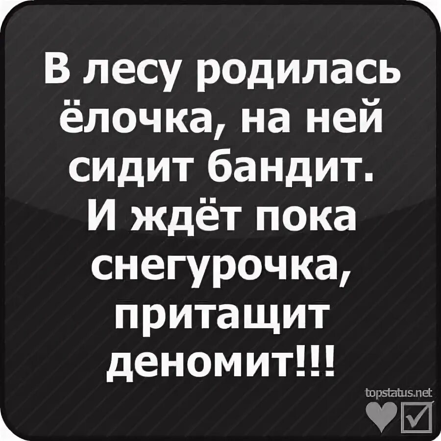 Четыре пьяных ежика и крокодил. В лесу родилась ёлочка под ней сидел бандит. В лесу родилась елочка под елочкой бандит. В лесу родилась ёлочка а кто её родил. В лесу родилась ёлочка под ёлкой Динамит.