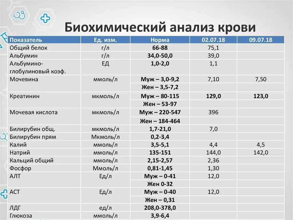 Биохимический анализ крови какие показатели. Расшифровка анализа крови биохимия норма. Биохимический анализ крови расшифровка у женщин 68 лет норма. Биохимический анализ крови расшифровка у женщин 75 лет норма.