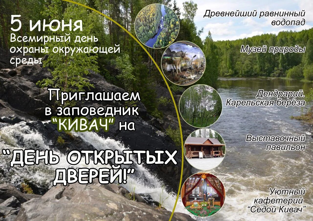Заповедник кивач краткое описание. Природный заповедник кивач. Водопад кивач презентация. Заповедник кивач презентация. Рассказ о заповеднике кивач.