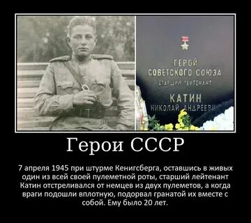 Лейтенанта катина