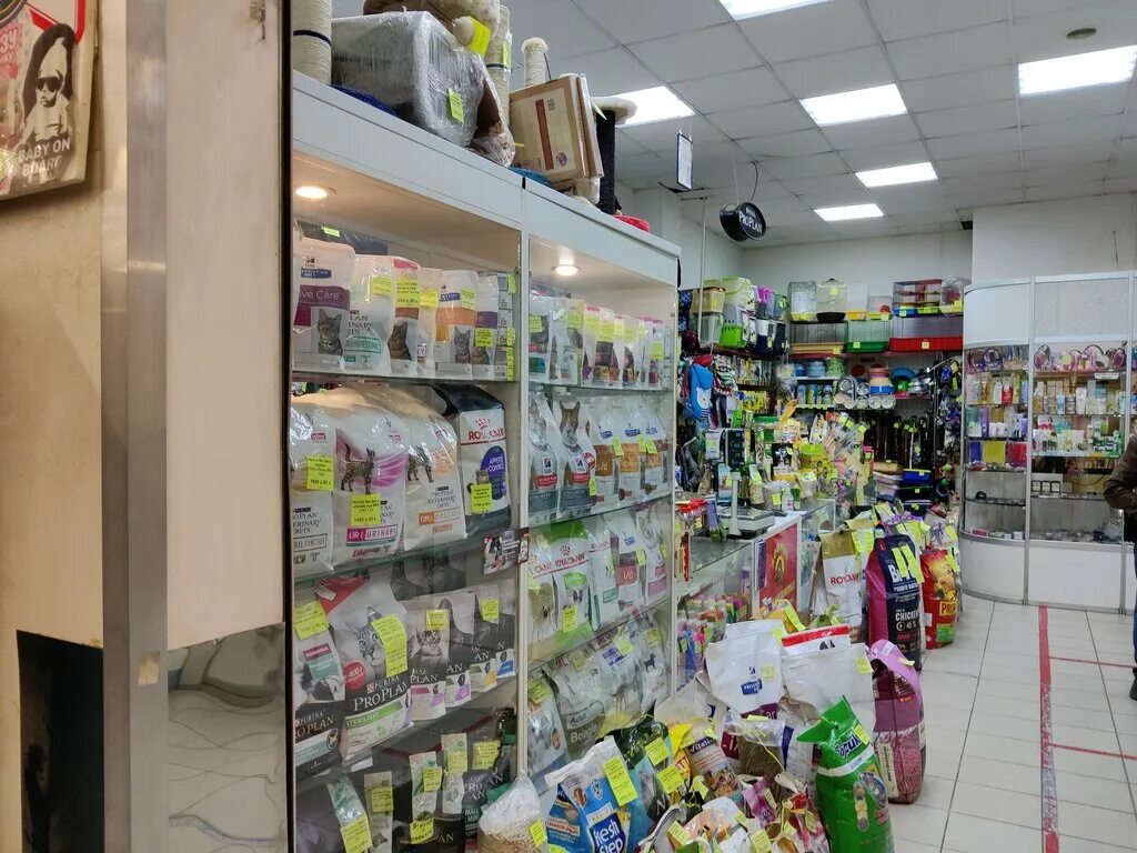 зоомагазин 4 лапы сергиев посад. зоомагазин сергиев посад. зоомагазин сергиев посад сами с усами. 4 лапы павловский посад. зоомагазин сергиев посад.