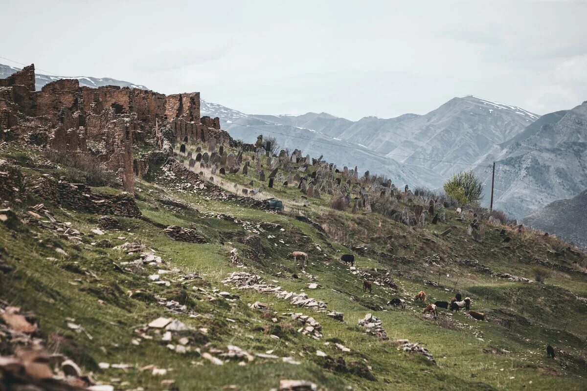 Село чинах. Село Амух Агульского района. Аул Амух. Аул Гоор Дагестан. Кахиб Гоор.