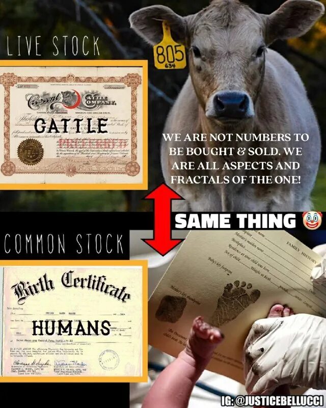 Due to и thanks to разница. Due to them. Due to them. Clauses of reason. Due правило.