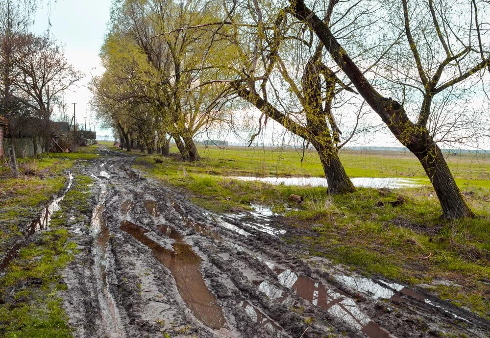 Апрель дорога. Весенняя дорога. весне дорогу!. дороги в апреле.