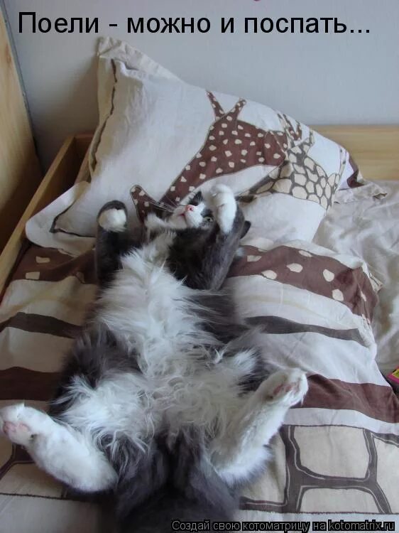 наелся можно и поспать. поели можно и поспать. поели теперь можно и поспать. наелась и выспалась. поспать поесть поспать.
