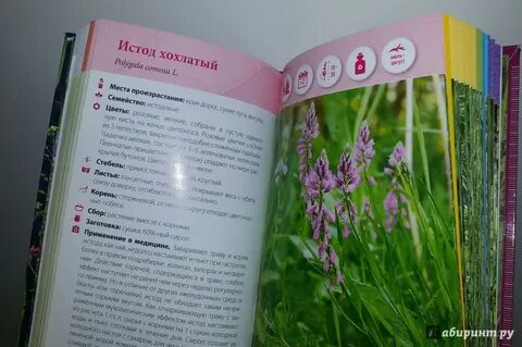 Травы читать