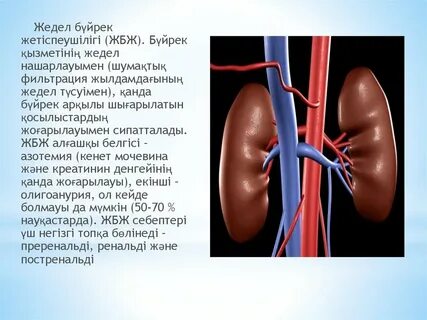 Бүйрекүсті безі құрылысы: 1 тыс изображений найдено в Яндекс Картинках