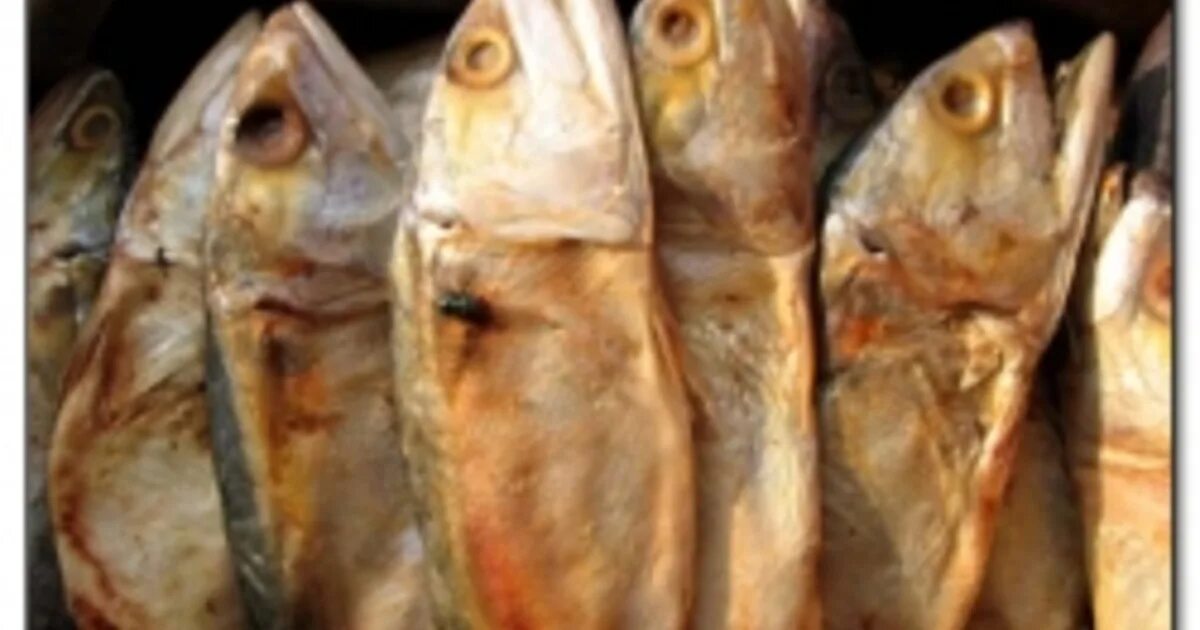 Как понять что соленая рыба испортилась. Пороки соленой рыбы. Дефекты вяленой рыбы
