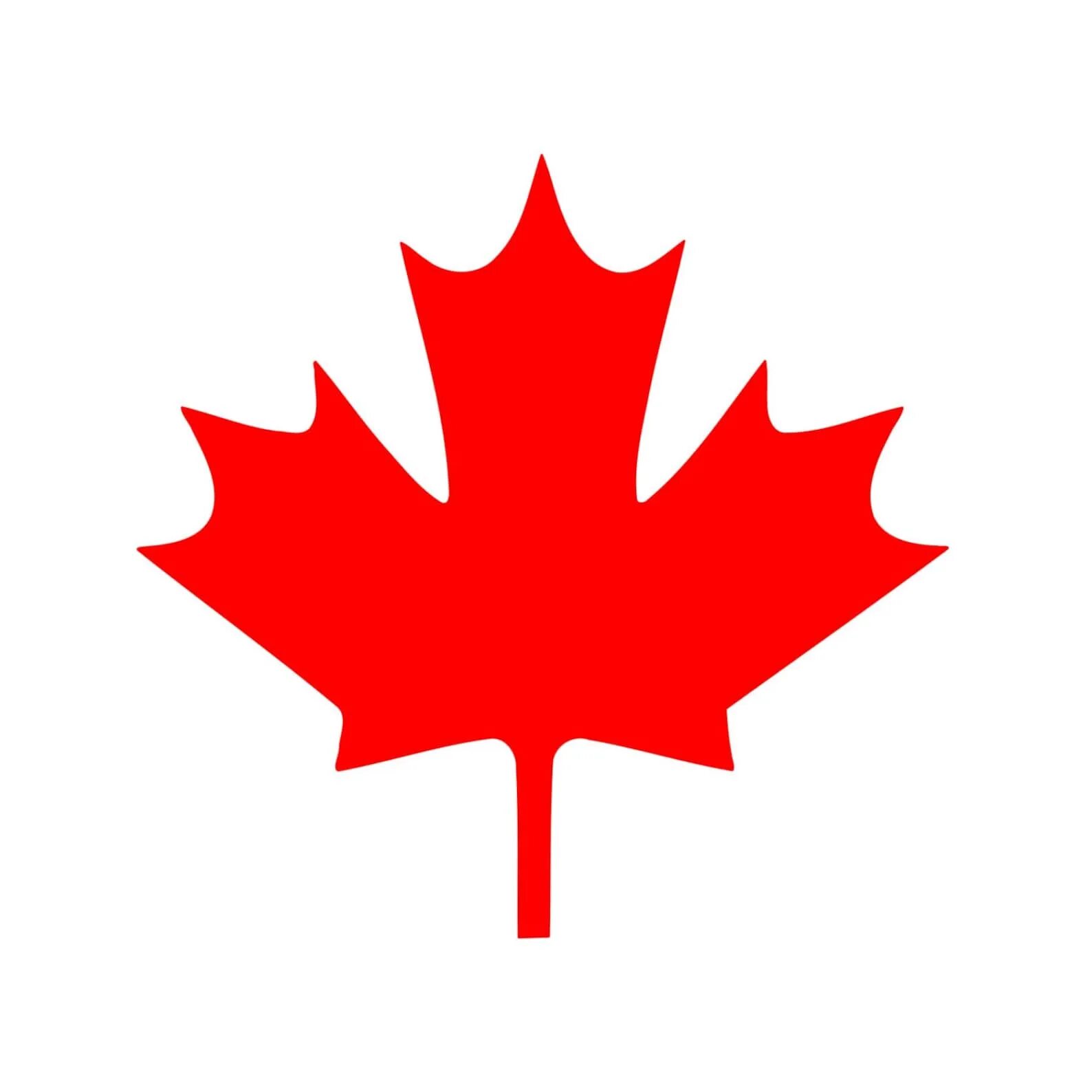 Лист канадского клена. Флаг с кленовым листом. Символы Канады. Кленовый лист символ. Канадский кленовый лист.