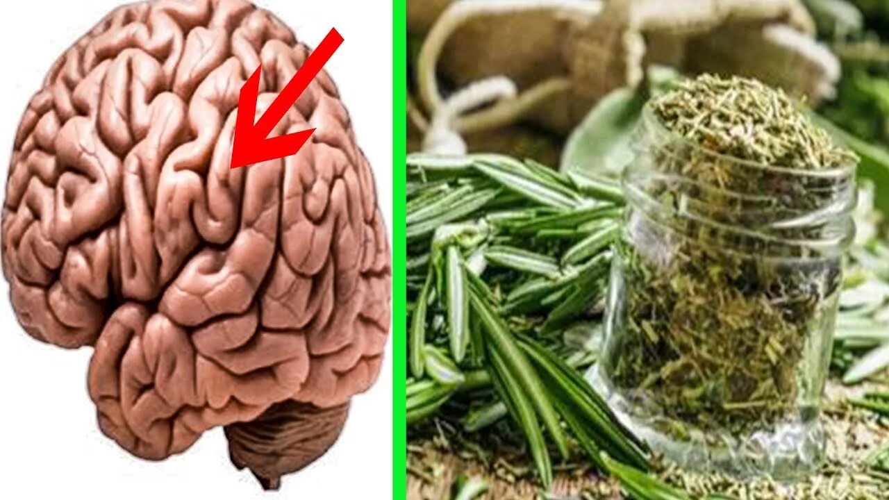 Народное средство для мозгов. Растения, полезные для мозга. Травы полезные для мозга. Растительный мозг. Зелень для мозга.