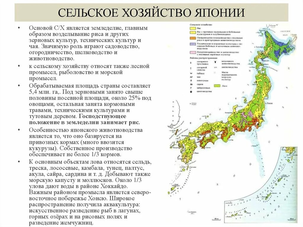 Характеристика сельского хозяйства Японии. Экономико географическая характеристика Японии по географии. Характеристика хозяйства Японии. Общая характеристика хозяйства Японии кратко. Местоположение хозяйства