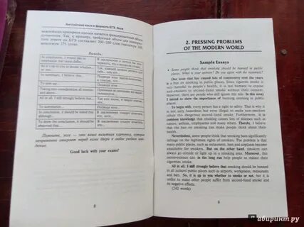 Эссе по английскому егэ 2024