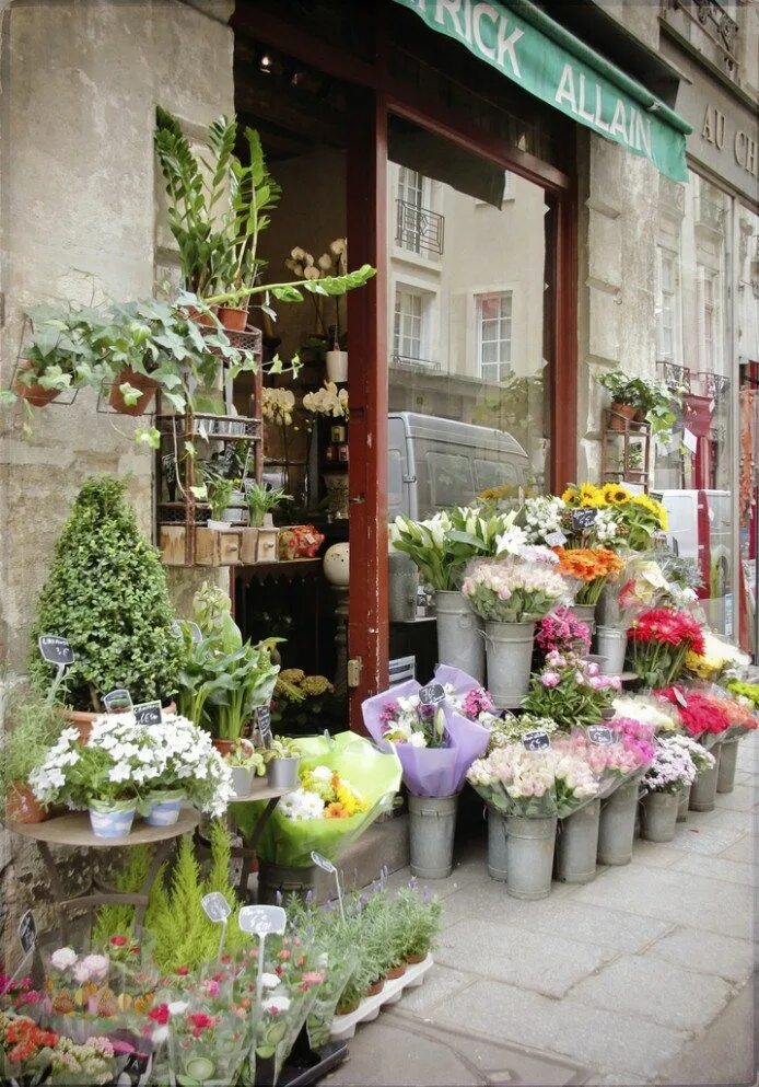 My flower shop. Цветочный магазин Floral Paris. Красивые фасады цветочных магазинов. Интерьер цветочного магазина. Витрина цветочного магазина.