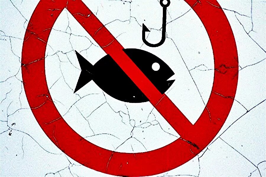 Весенний запрет на ловлю. Ловля рыбы запрещена. Ловля рыбы запрещена знак. Рыбалка запрещена табличка. Лов рыбы запрещен.