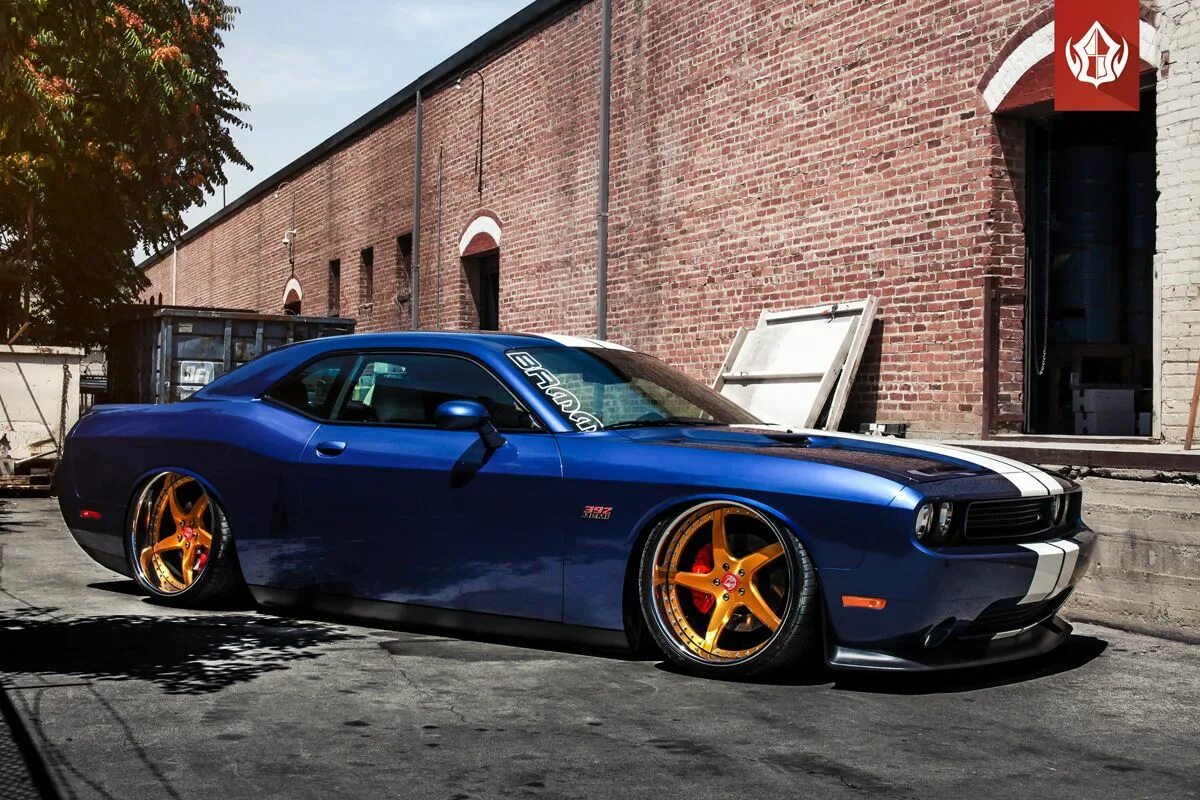 Dodge tuning. Додж челенжер тюнигованый. Додж Челленджер тюнингованный. Dodge Challenger srt8. Тюнинтованный Додж челенжер.