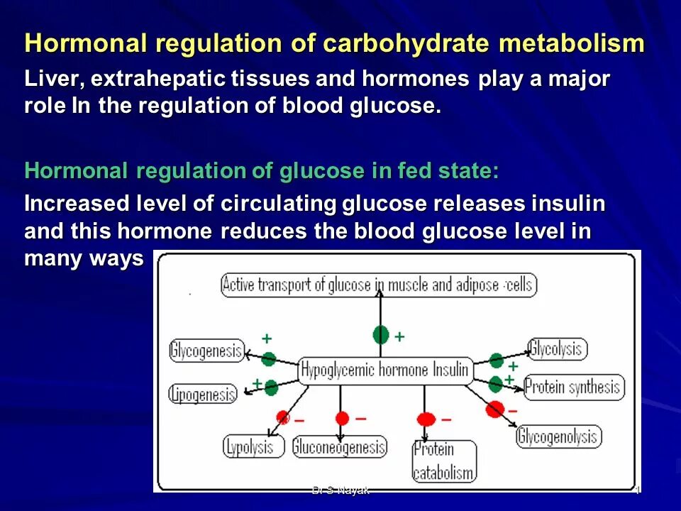 Regulation of carbohydrate metabolism. Hormonal Regulation. Hormonal Regulation of glycolysis. Hormonal Pathway. Also involves