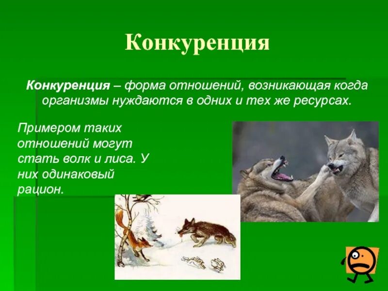 Картинки ВИД ВЗАИМОДЕЙСТВИЯ КОНКУРЕНЦИЯ ПРИМЕР