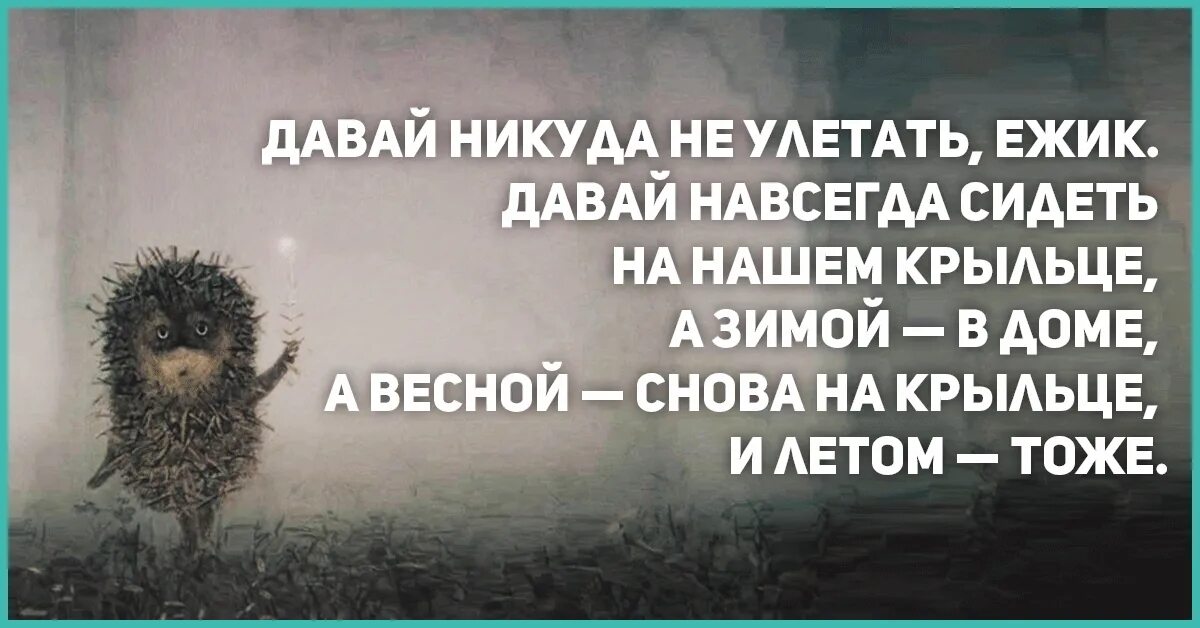 Ежик в т. Цитаты из ежика в тумане. Ежик в тумане цитаты. Ежик в тумане фразы. Ёжик и Медвежонок цитаты.