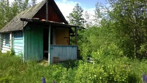 Станция осинка