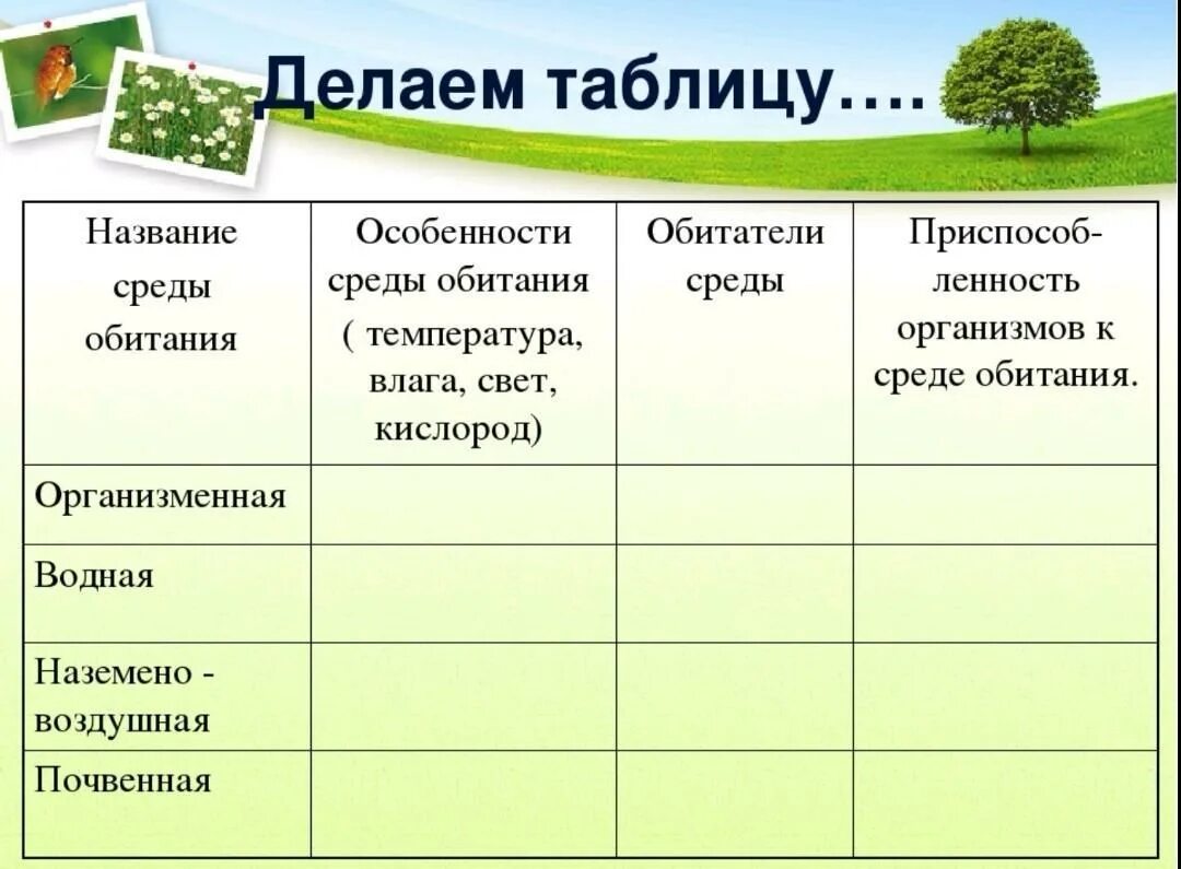 Тесты среда обитания пятый класс. Среда обитания 5 класс биология таблица. Биология таблица среды обитания живых организмов. 4 Среды обитания 5 класс биология. Среды обитания организмов таблица.