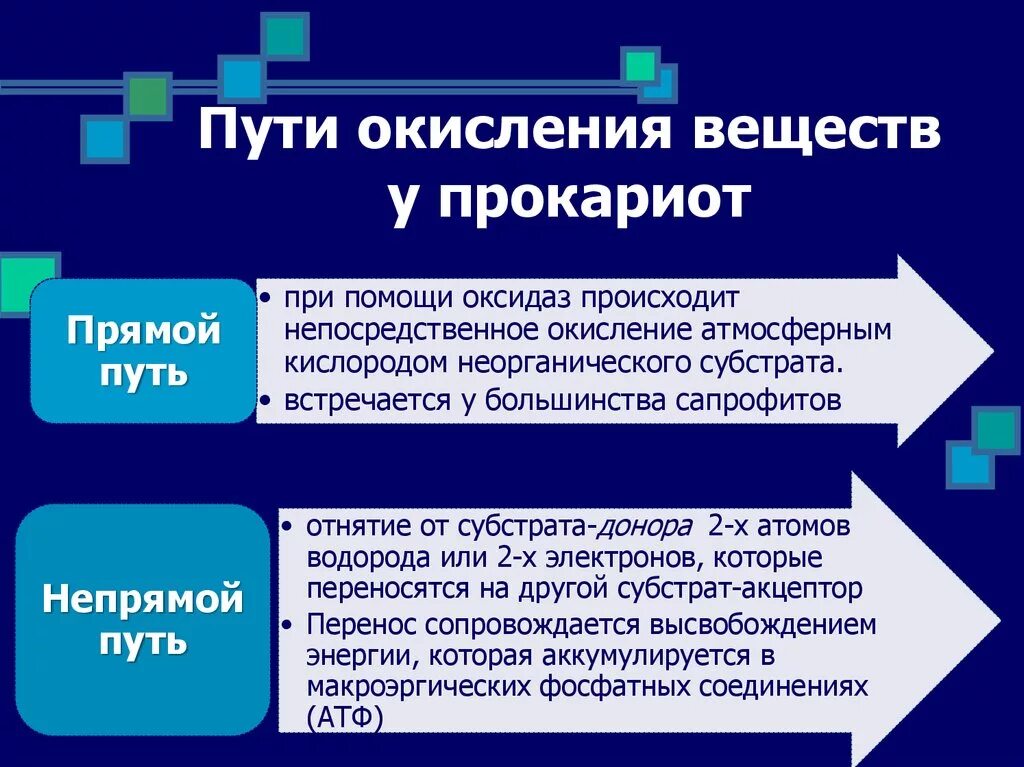 Окисление вещества. Пути окисления веществ микроорганизмов. Роль амфиболитов в метаболизме прокариотических. Окисленная субстанция.