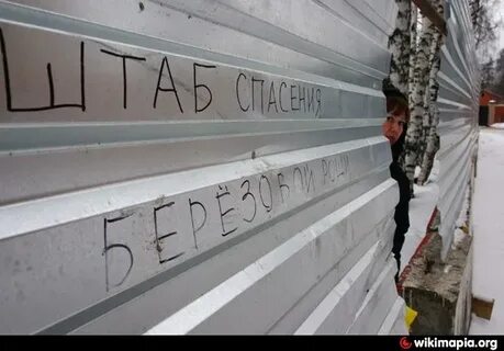 Синема паблик березовая роща
