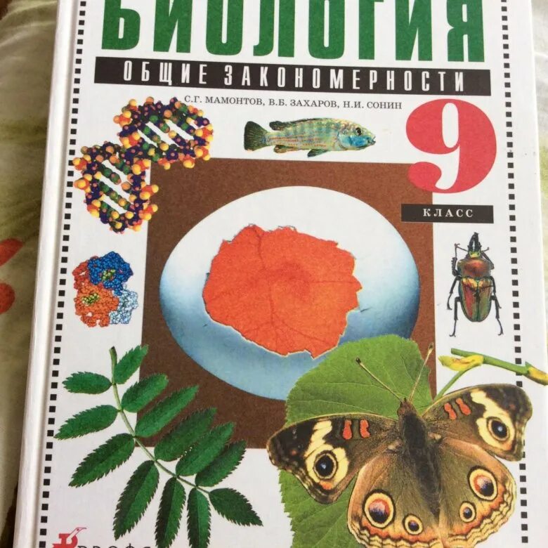 Биология 9 класс мамонтов сонин. Биология Захаров Сивоглазов Мамонтов. Учебник биология 9 кл. Мамонтов, Захаров, Агафонова, Сонин. Мамонтов с.г., Захаров в.б. Сонин н.и. биология 9 класс. Биология 9 класс учебник Мамонтов Захаров.