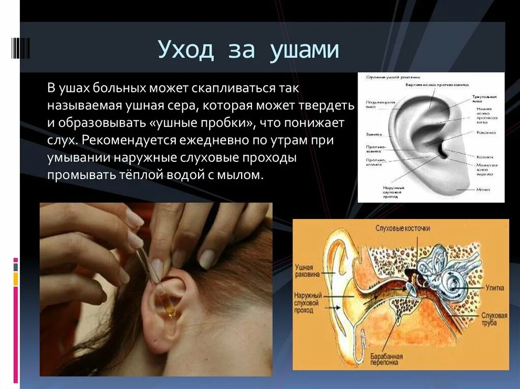 Глубокая ушная раковина. Патология органов слуха.