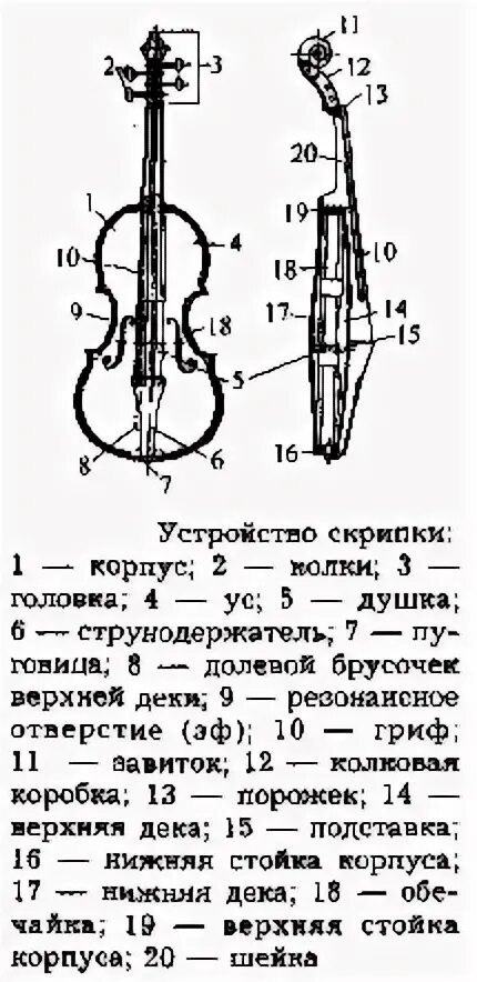 Строение смычка для скрипки. Строение скрипки схема. Строение виолончели схема. Составные части скрипки схема. Схема скрипки