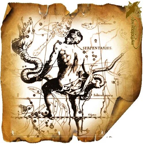Скорпионы змееносцы. Созвездие змееносец. Скорпионы змееносцы. Ophiuchus. Созвездие змееносец.