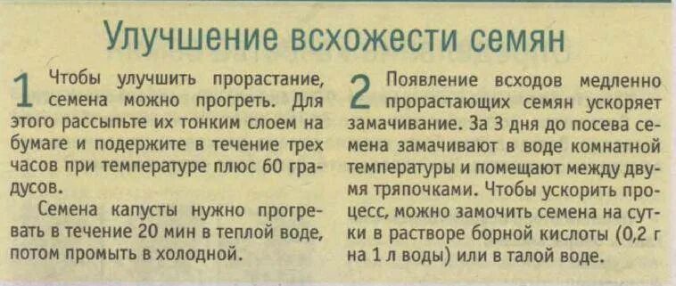 Как проверить всхожесть семян перца в воде. Молитва и посев. Молитва перед посевом семян на рассаду. Молебен перед посевной. Молитва на посадку семян на рассаду.