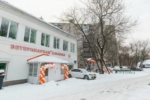 Добрый хвост новопетровская