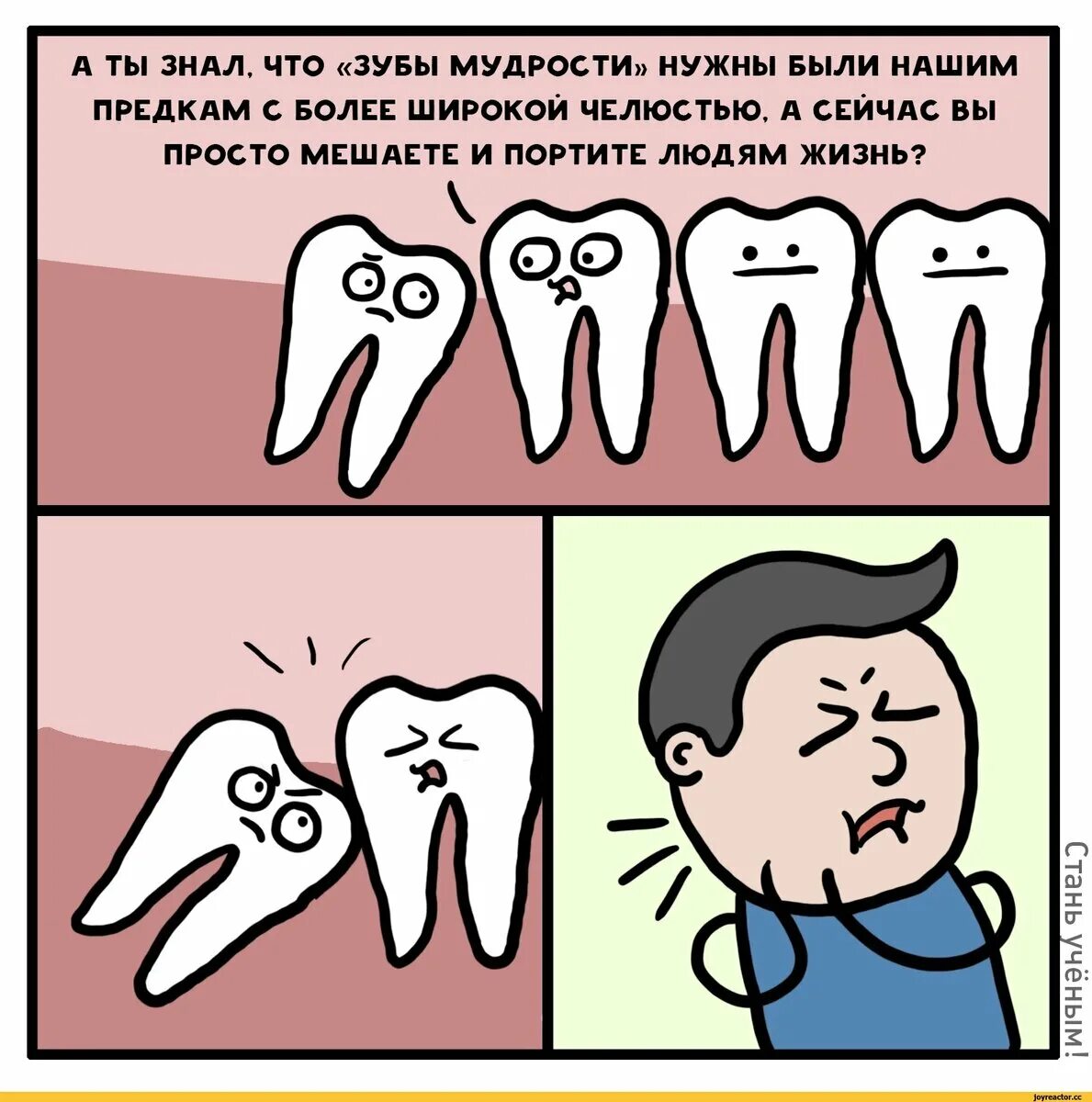 Хочу удалить зубы. Хочу удалить зубы