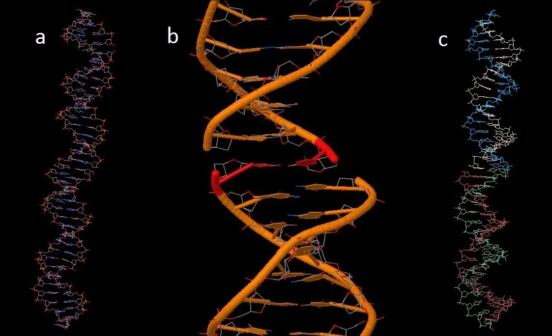 Мутационная ДНК. Разрушение ДНК. Изменение структуры ДНК. Поврежденная ДНК.