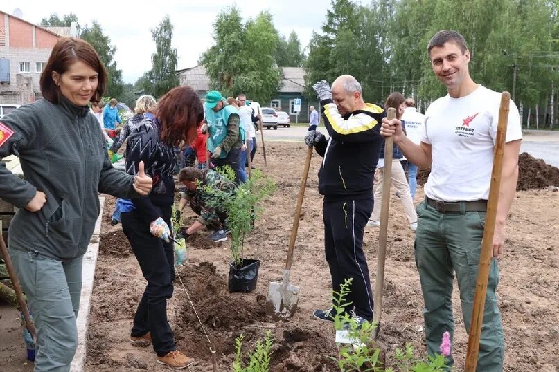 Администрация Карпогоры. Администрация Пинежского района. Чечулин саженцы. Рп5 карпогоры на неделю