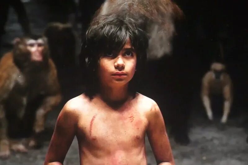 Книга джунглей 2016 ракша. Багира и маугли 2016. Книга джунглей фильм 2018. Маугли дисней фильм. Книга джунглей нил сетхи.