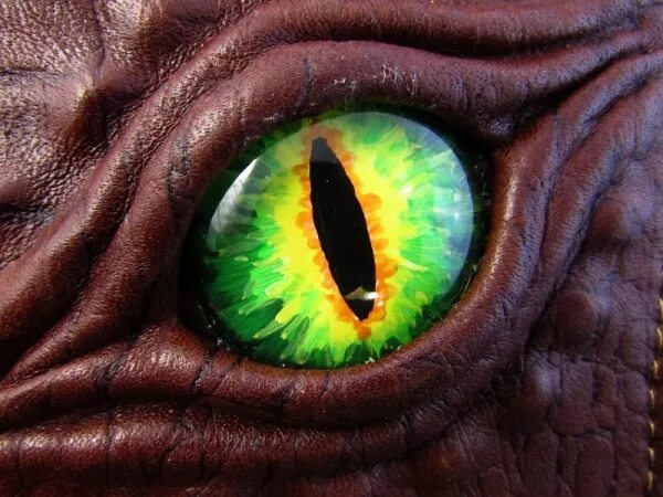 Dragon eye перевод. Глаз дракона. Глаз динозавра. Зрачок дракона. Глаза для драконов.