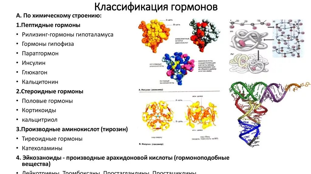 В ферменты входят гормоны. По химическому строению гормоны делятся на. Классификация гормонов по химическому составу. Классификация гормонов по химической природе биохимия. Классификация стероидных гормонов биохимия.