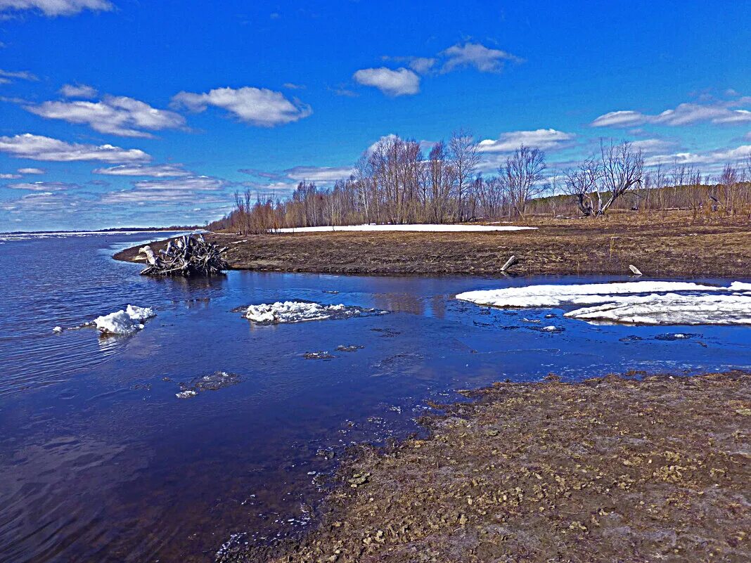 Погода юганская обь