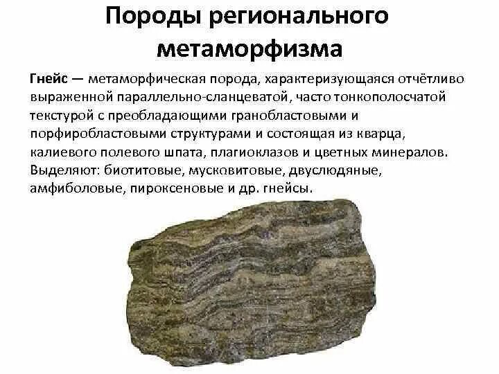 Метаморфические горные породы гранит. Гнейс горная порода описание. Гнейс минерал. Метаморфические горные породы гнейс. Метаморфические горные породы гнейс.